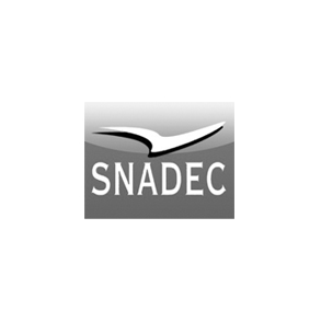 Logo Snadec
